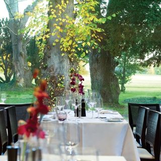 The Linden Tree at Carton House Hotel