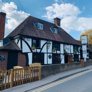 The Walnut Tree