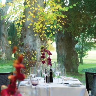 The Linden Tree at Carton House Hotel