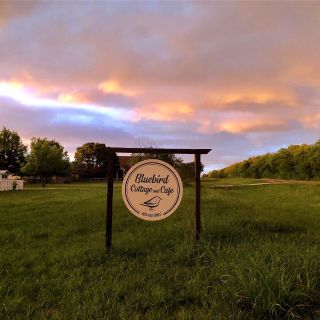 Bluebird Cottage & Cafe