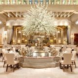 Cover image for The Palm Court