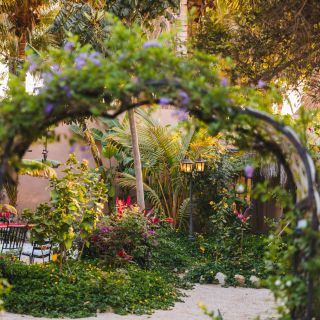 La Jima Mezcal Garden