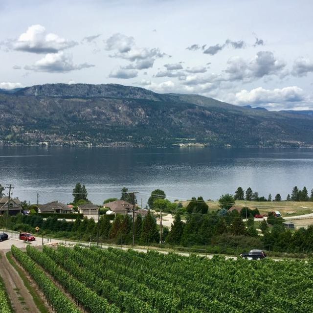 The Lookout Restaurant at Gray Monk Lake Country, BC OpenTable