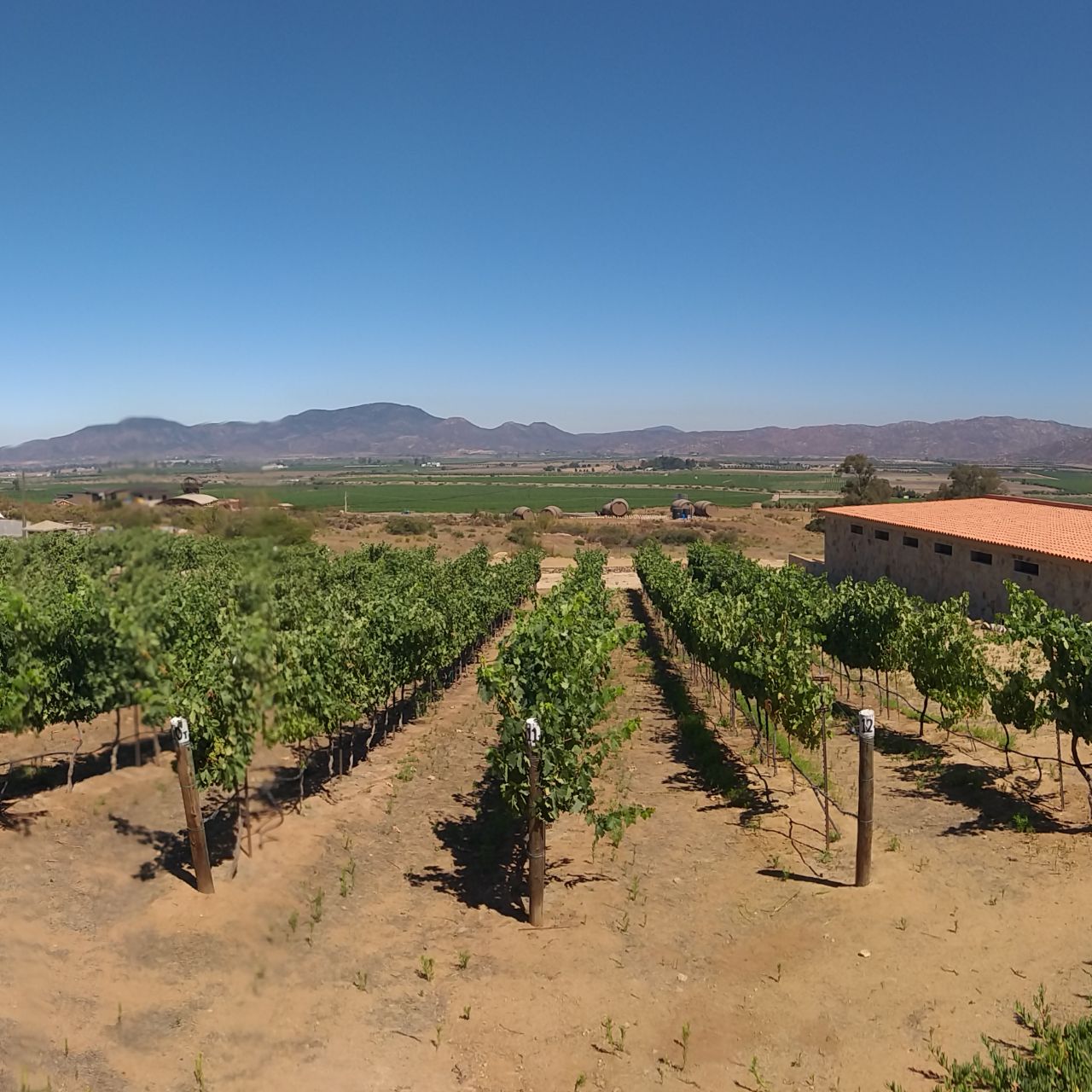 Restaurante Hacienda Guadalupe - Ensenada, , BCN | OpenTable