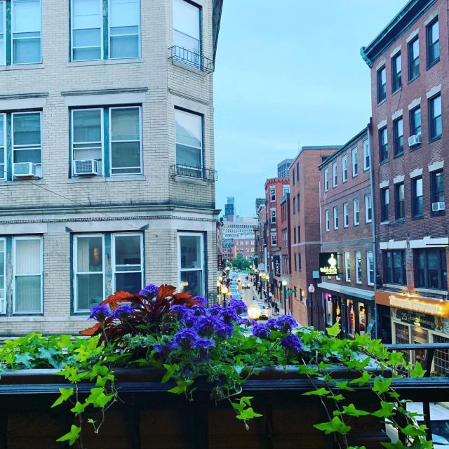 BaccoBoston Restaurant Boston, MA OpenTable