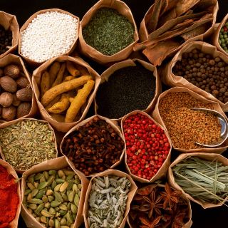 Spice of America