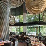 Cover image for Kingbird at The Watergate Hotel