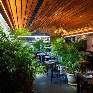 Gitano Jungle Room