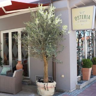 Osteria D'Orazio