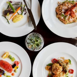 Hunter 486 Restaurant