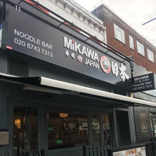 Mikawa Japanese Shepherds Bush