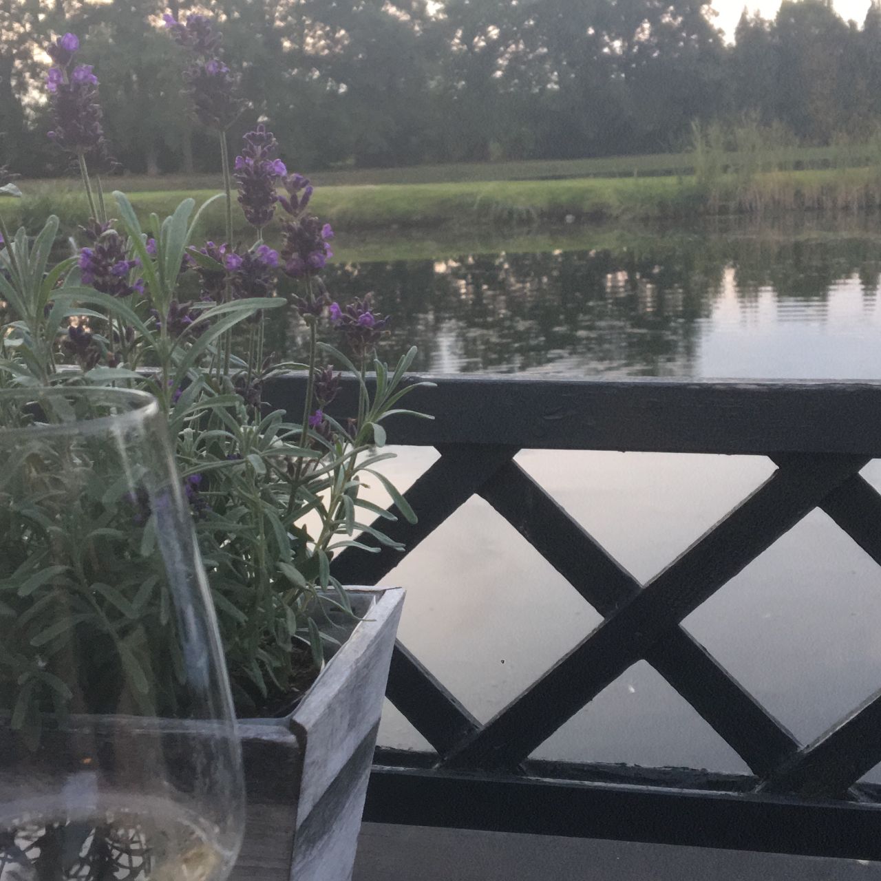 Sun Garden Kuschelkissen gefüllt
