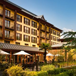 Augila im Lindner Park-Hotel Hagenbeck
