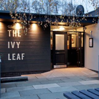 Ivy Leaf