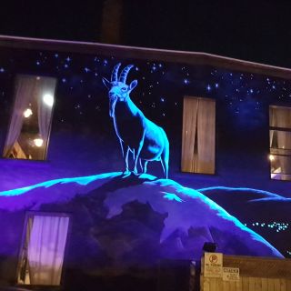 The Stubborn Goat Gastropub