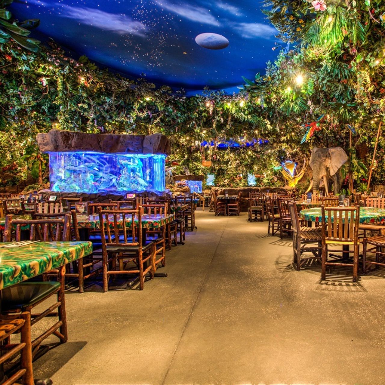 Rainforest Cafe Grapevine Mills Restaurant Grapevine Tx