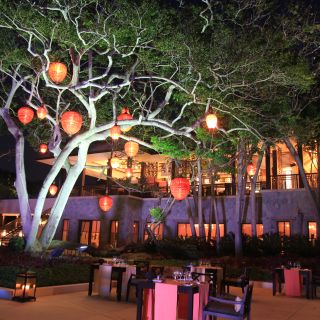 La Nao at Banyan Tree