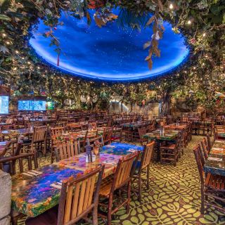 Rainforest Cafe - Detroit Great Lakes