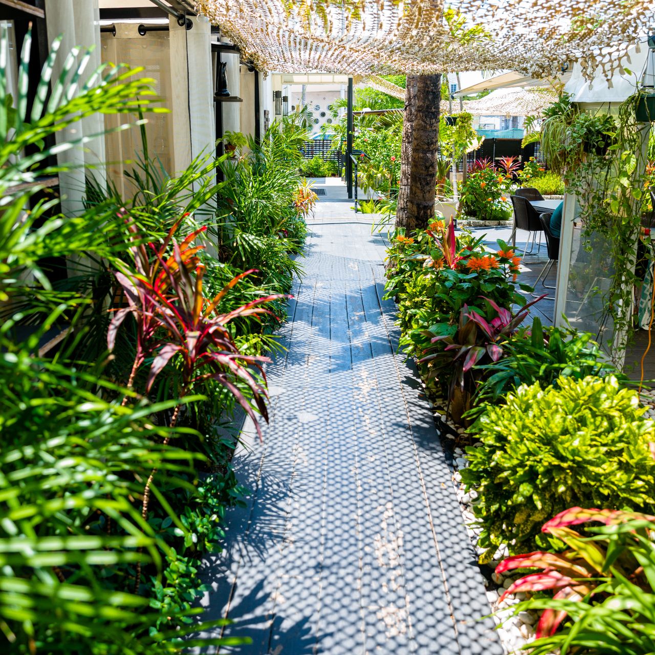 Cuprum Miami Restaurant Miami Beach Fl Opentable