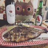 Cover image for ATHENIAN OWL