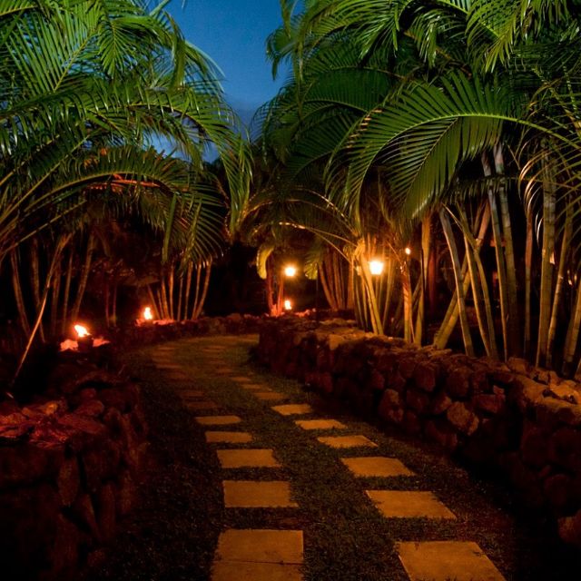 Bananas Restaurant Charlestown, Nevis OpenTable