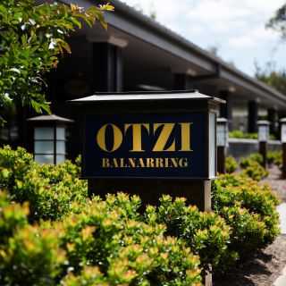 OTZI