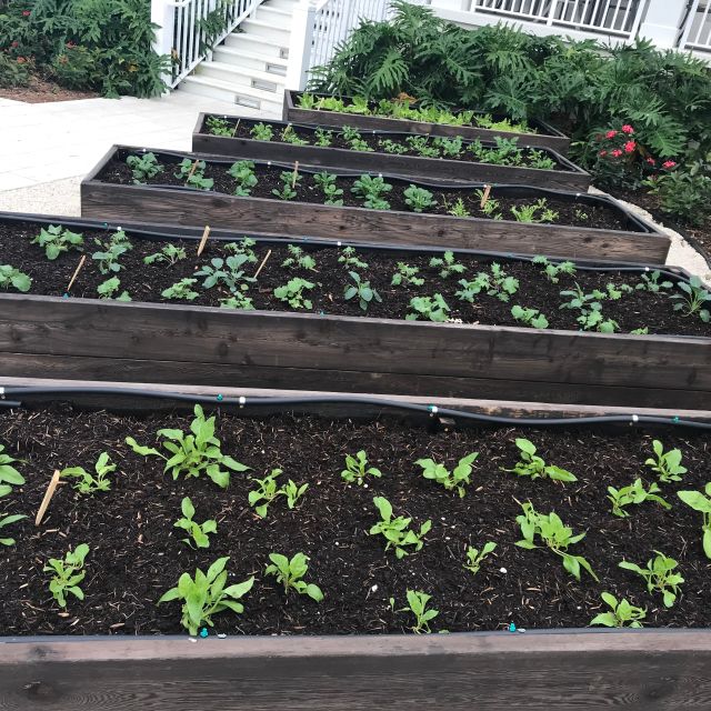 Soup Kitchen Jacksonville Beach Fl Dandk Organizer