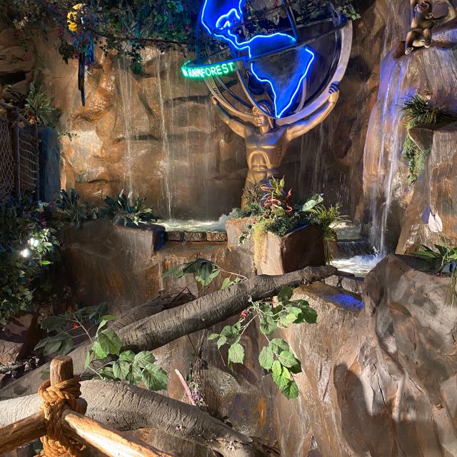 Dauerhaft Geschlossen Rainforest Cafe Chicago Downtown Restaurant Chicago Il Opentable
