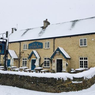 The Cat and Custard Pot