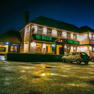 A photo of Blue Orchid Restaurant and Bar restaurant