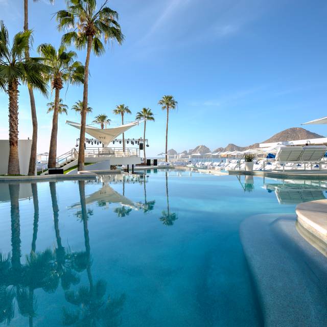 Blue Marlin Ibiza Los Cabos - Updated 2024, Mediterranean Restaurant in