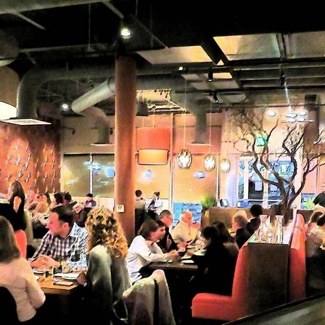 Ambli Mexico Updated 2024, Mexican Restaurant in Denver, CO