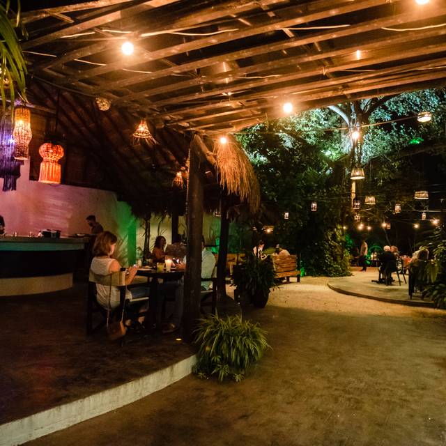 Kondesa Updated 2024, Mexican Restaurant in Cozumel, ROO