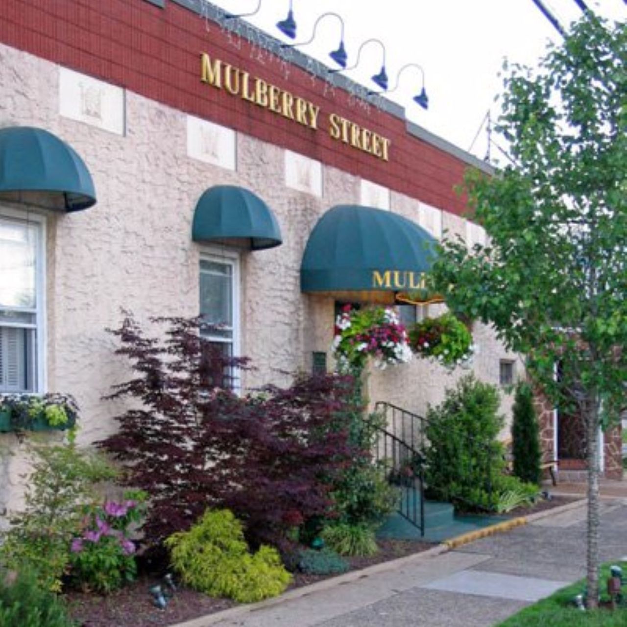 Mulberry stree discount