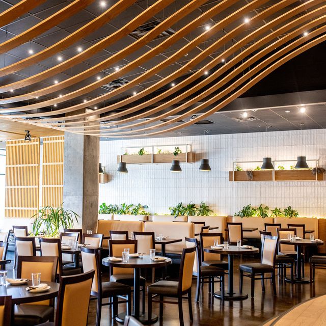 1618 Asian Fusion Updated 2024 Asian Restaurant In Austin TX 1618-asian-fusion-updated-2024-asian-restaurant-in-austin-tx