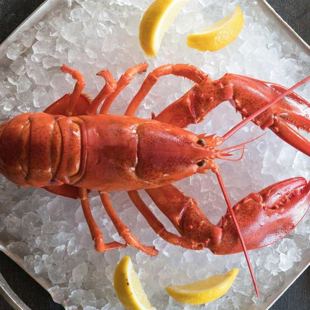 The Lobster Trap Updated 2024, Seafood Restaurant in Asheville, NC