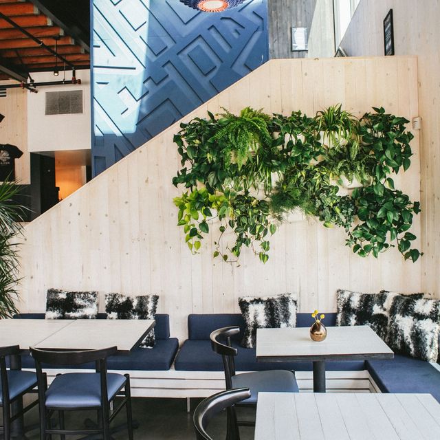 Kairoa Brewing Company Restaurant San Diego, , CA OpenTable