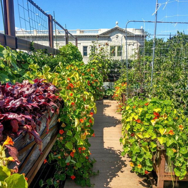 Restaurant GroundEdgewater Chicago, , IL OpenTable