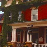 Cover image for The Wooly Pub