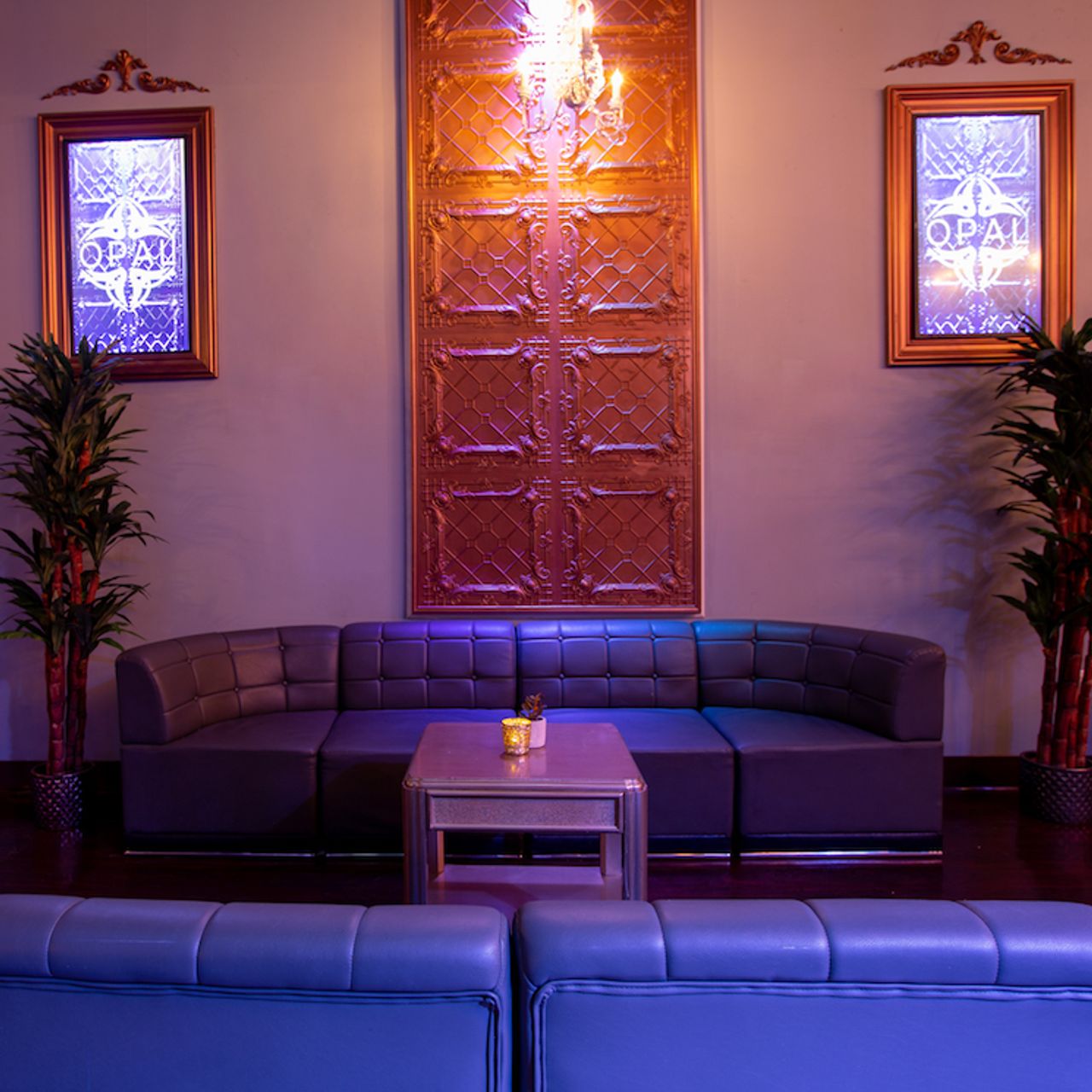 Opal Social Club Restaurant - Mountain View, CA | OpenTable