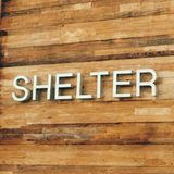 Cover image for SHELTER