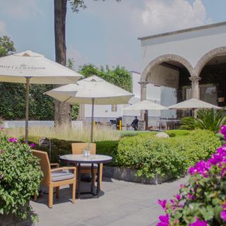 Los 235 mejores restaurantes Brunch en Altavista / San Angel / San Jerónimo  | OpenTable