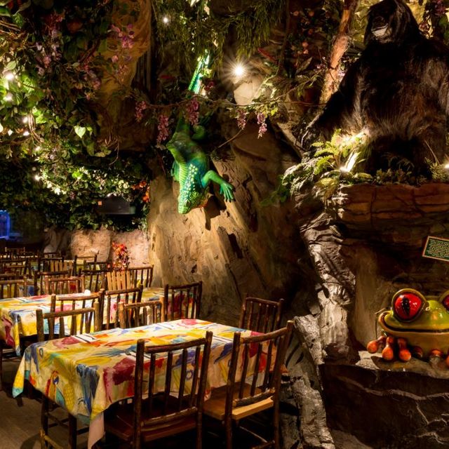 The Rainforest Cafe London London Opentable