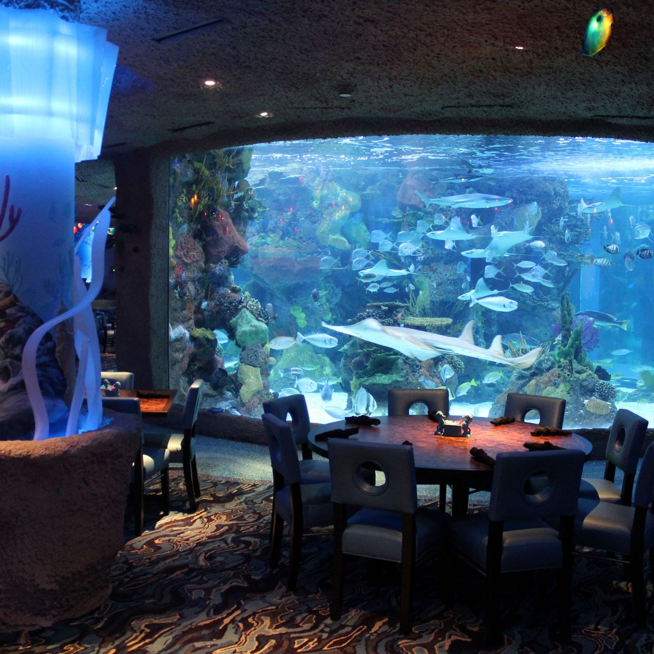 бар аквариум