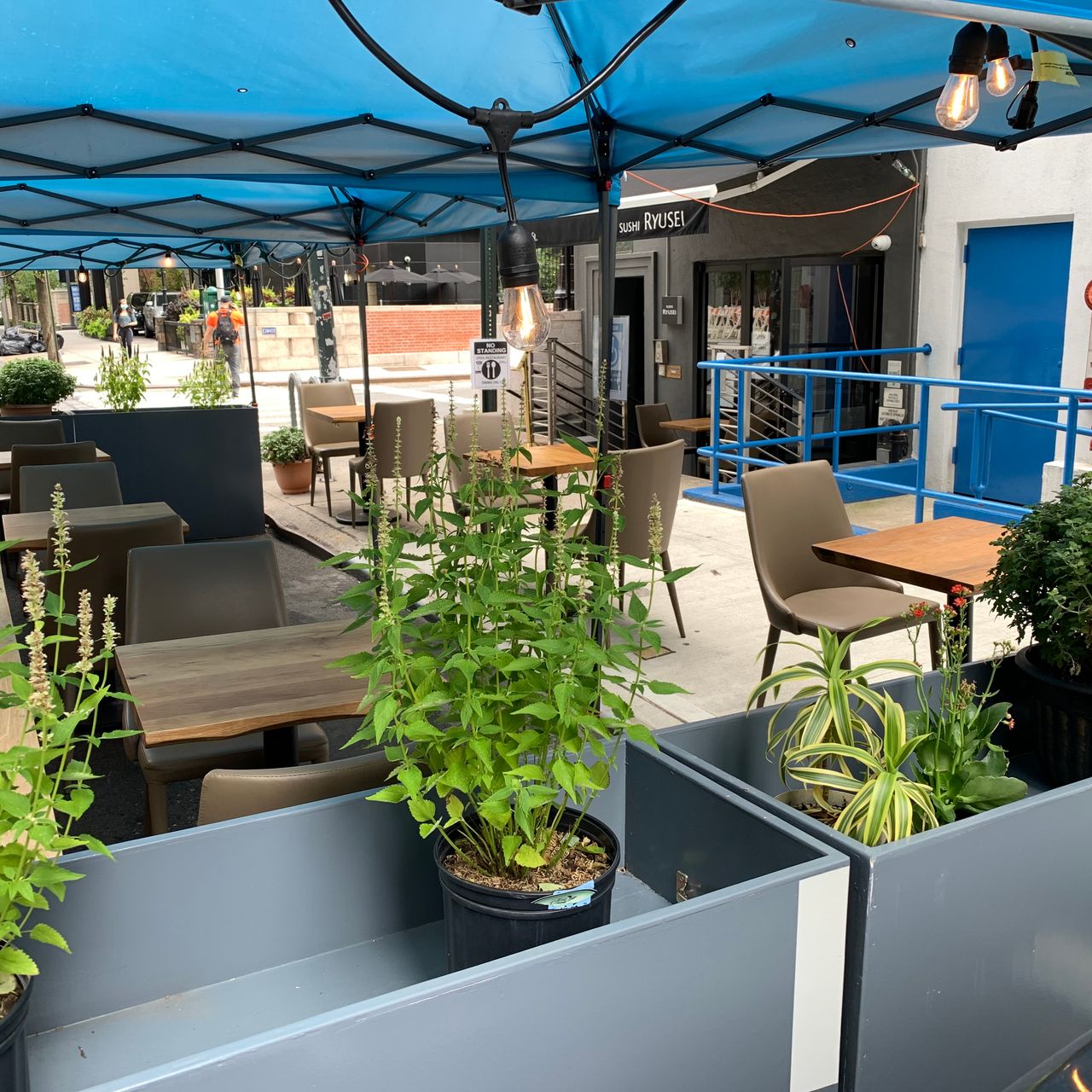 Sale > outdoor dining sushi near me > in stock