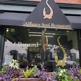 Cover image for Alligator Soul
