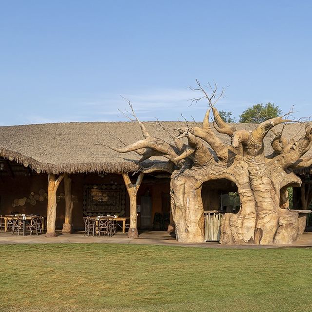 The Watering Hole San Diego Zoo Safari Park Restaurant Escondido Ca Opentable