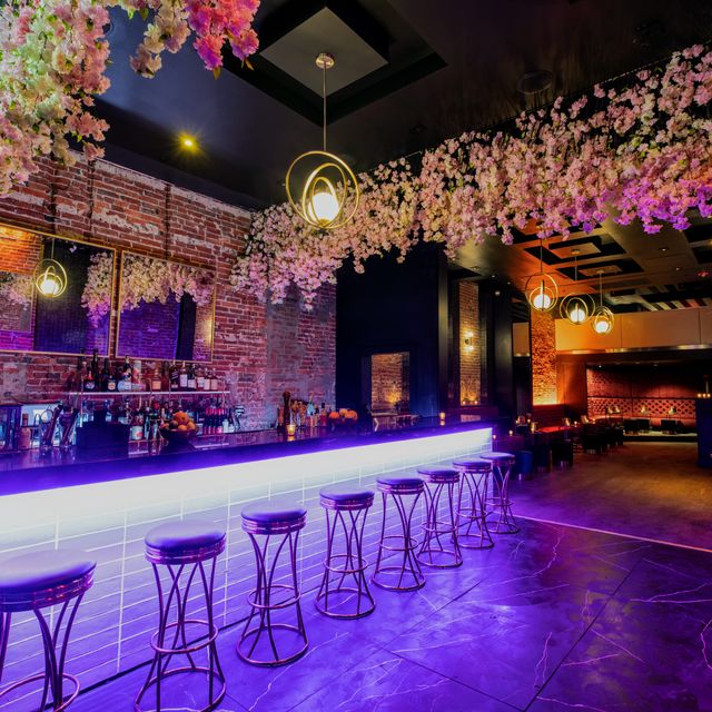 Leda & The Swan Updated 2024, Bar And Lounge in Philadelphia, PA