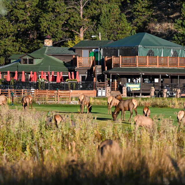 Keys on the Green Mis à jour en 2024, Restaurant Américain Contemporain à Evergreen, CO