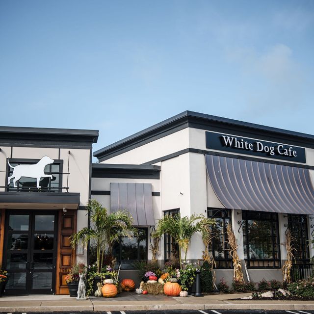 White Dog Cafe Glen Mills Restaurant Glen Mills Pa Opentable